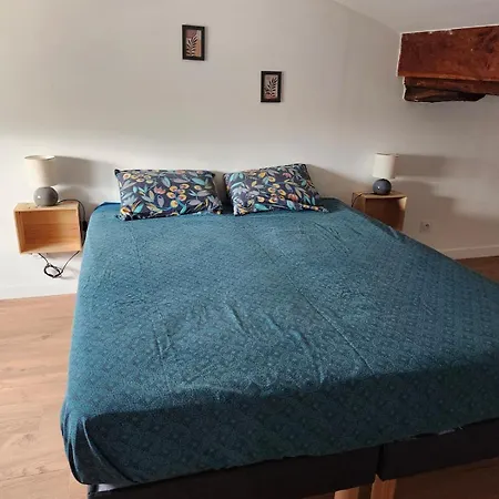 T3 Duplex With Bike Garage Close *