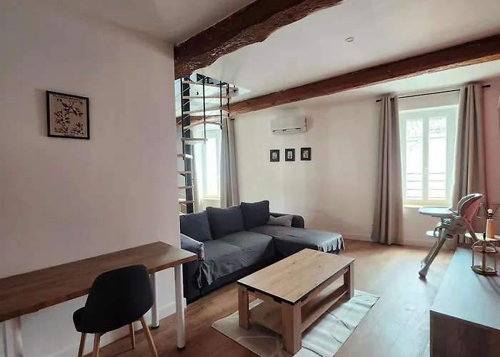 T3 Duplex With Bike Garage Close Castelnaudary